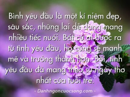 Bình yêu đầu là một kỉ niệm đẹp, sâu sắc, những lại dễ dàng mang nhiều tiếc nuối. Bất cứ ai bước ra từ tình yêu đầu, họ cũng sẽ mạnh mẽ và trưởng thành hơn. Bởi, tình yêu đầu đã mang theo sự ngây thơ nhất của tuổi trẻ.