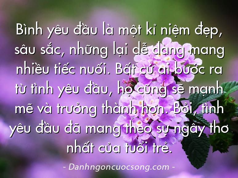 Bình yêu đầu là một kỉ niệm đẹp, sâu sắc, những lại dễ dàng mang nhiều tiếc nuối. Bất cứ ai bước ra từ tình yêu đầu, họ cũng sẽ mạnh mẽ và trưởng thành hơn. Bởi, tình yêu đầu đã mang theo sự ngây thơ nhất của tuổi trẻ.