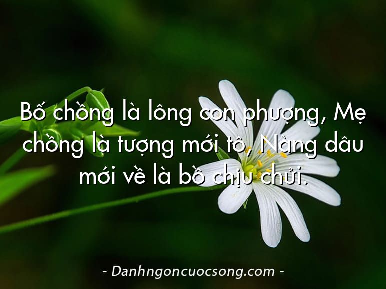 Bố chồng là lông con phượng, Mẹ chồng là tượng mới tô, Nàng dâu mới về là bồ chịu chửi.