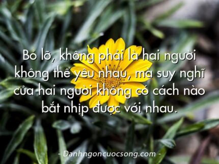 Bỏ lỡ, không phải là hai người không thể yêu nhau, mà suy nghĩ của hai người không có cách nào bắt nhịp được với nhau.