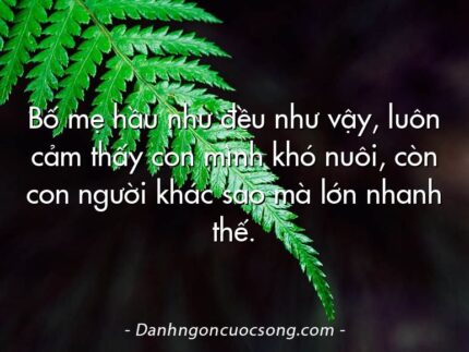 Bố mẹ hầu như đều như vậy, luôn cảm thấy con mình khó nuôi, còn con người khác sao mà lớn nhanh thế.