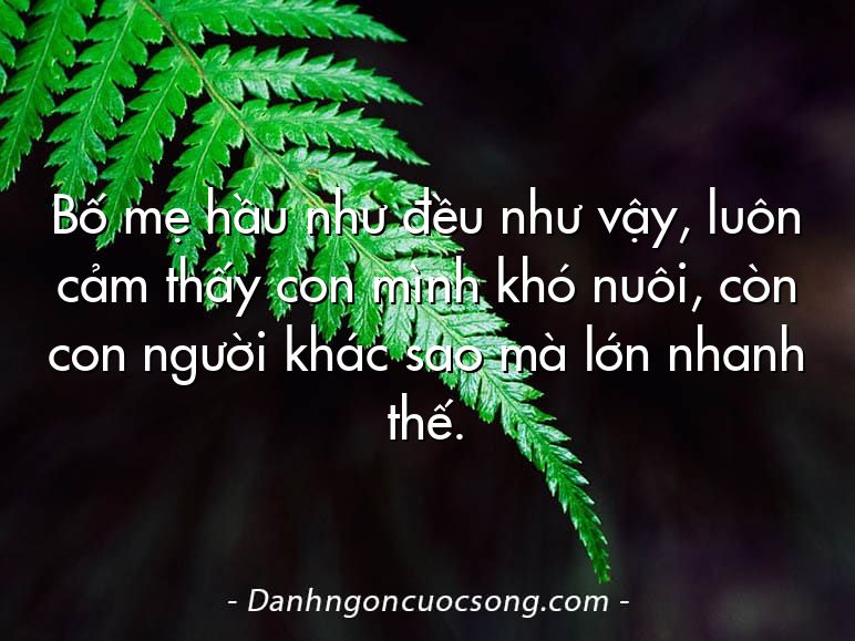 Bố mẹ hầu như đều như vậy, luôn cảm thấy con mình khó nuôi, còn con người khác sao mà lớn nhanh thế.