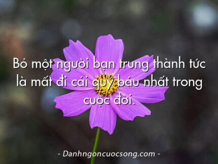 Bỏ một người bạn trung thành tức là mất đi cái quý báu nhất trong cuộc đời.