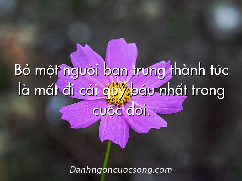 Bỏ một người bạn trung thành tức là mất đi cái quý báu nhất trong cuộc đời.