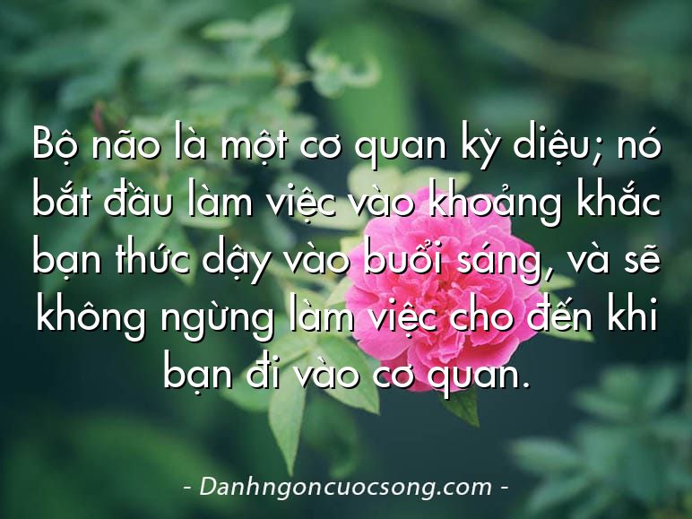 Bộ não là một cơ quan kỳ diệu; nó bắt đầu làm việc vào khoảng khắc bạn thức dậy vào buổi sáng, và sẽ không ngừng làm việc cho đến khi bạn đi vào cơ quan.