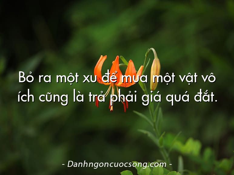 Bỏ ra một xu để mua một vật vô ích cũng là trả phải giá quá đắt.