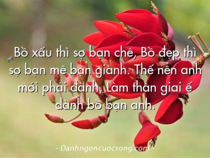 Bồ xấu thì sợ bạn chê, Bồ đẹp thì sợ bạn mê bạn giành. Thế nên anh mới phải đành, Làm thân giai ế dành bồ bạn anh.