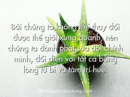 Bởi chúng ta không thể thay đổi được thế giới xung quanh, nên chúng ta đành phải sửa đổi chính mình, đối diện với tất cả bằng lòng từ bi và tâm trí huệ.