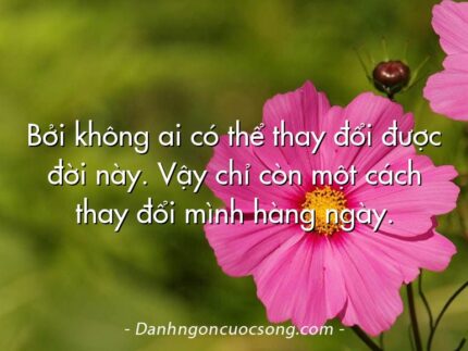 Bởi không ai có thể thay đổi được đời này. Vậy chỉ còn một cách thay đổi mình hàng ngày.