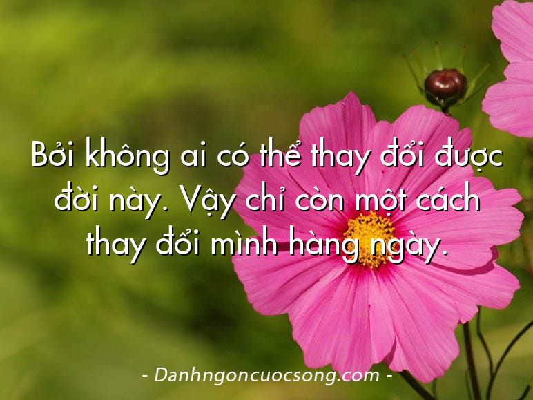 Bởi không ai có thể thay đổi được đời này. Vậy chỉ còn một cách thay đổi mình hàng ngày.