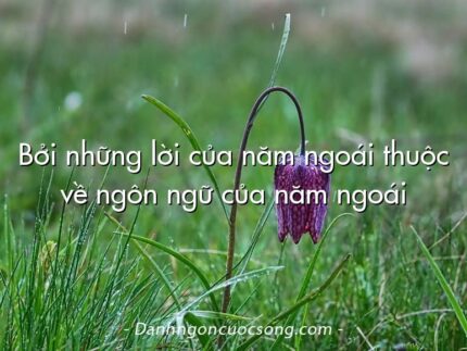 Bởi những lời của năm ngoái thuộc về ngôn ngữ của năm ngoái