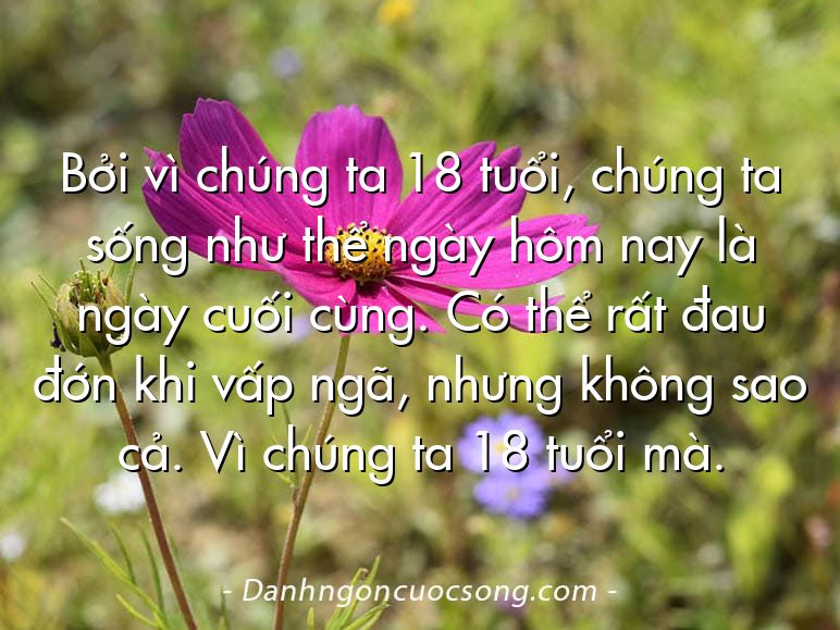 Bởi vì chúng ta 18 tuổi, chúng ta sống như thể ngày hôm nay là ngày cuối cùng. Có thể rất đau đớn khi vấp ngã, nhưng không sao cả. Vì chúng ta 18 tuổi mà.