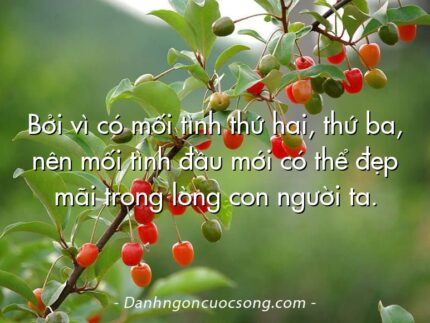 Bởi vì có mối tình thứ hai, thứ ba, nên mối tình đầu mới có thể đẹp mãi trong lòng con người ta.