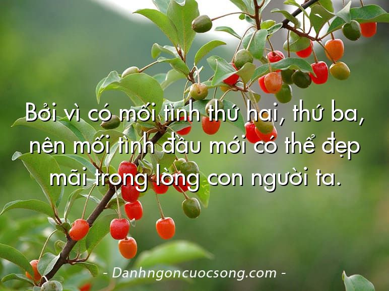 Bởi vì có mối tình thứ hai, thứ ba, nên mối tình đầu mới có thể đẹp mãi trong lòng con người ta.
