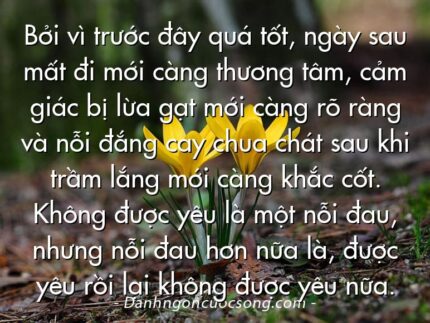 Bởi vì trước đây quá tốt, ngày sau mất đi mới càng thương tâm, cảm giác bị lừa gạt mới càng rõ ràng và nỗi đắng cay chua chát sau khi trầm lắng mới càng khắc cốt. Không được yêu là một nỗi đau, nhưng nỗi đau hơn nữa là, được yêu rồi lại không được yêu nữa.