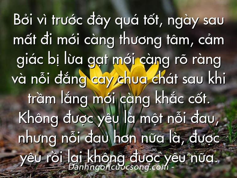 Bởi vì trước đây quá tốt, ngày sau mất đi mới càng thương tâm, cảm giác bị lừa gạt mới càng rõ ràng và nỗi đắng cay chua chát sau khi trầm lắng mới càng khắc cốt. Không được yêu là một nỗi đau, nhưng nỗi đau hơn nữa là, được yêu rồi lại không được yêu nữa.