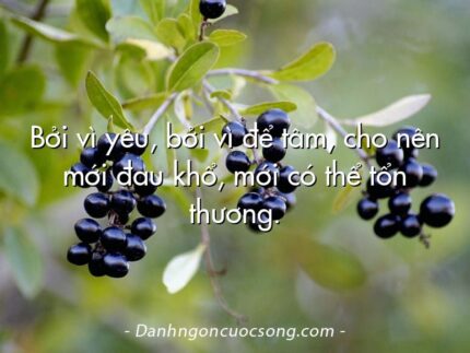 Bởi vì yêu, bởi vì để tâm, cho nên mới đau khổ, mới có thể tổn thương.