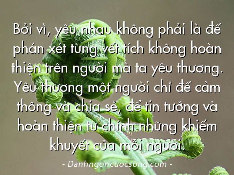 Bởi vì, yêu nhau không phải là để phán xét từng vết tích không hoàn thiện trên người mà ta yêu thương. Yêu thương một người chỉ để cảm thông và chia sẻ, để tin tưởng và hoàn thiện từ chính những khiếm khuyết của mỗi người.