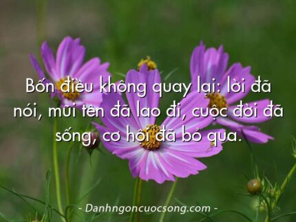 Bốn điều không quay lại: lời đã nói, mũi tên đã lao đi, cuộc đời đã sống, cơ hội đã bỏ qua.