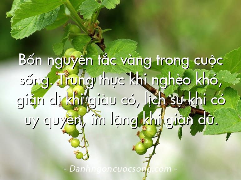 Bốn nguyên tắc vàng trong cuộc sống. Trung thực khi nghèo khó, giản dị khi giàu có, lịch sự khi có uy quyền, im lặng khi giận dữ.