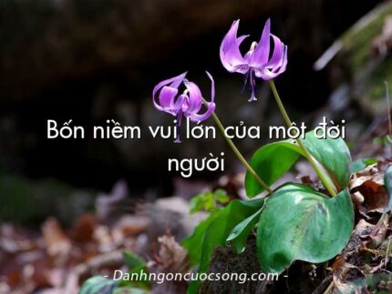 Bốn niềm vui lớn của một đời người