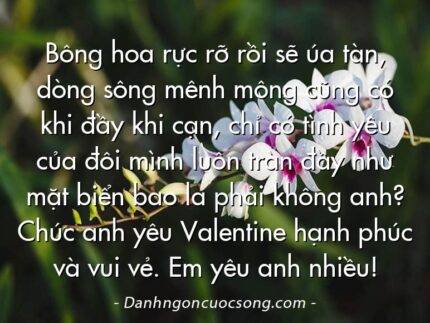 Bông hoa rực rỡ rồi sẽ úa tàn, dòng sông mênh mông cũng có khi đầy khi cạn, chỉ có tình yêu của đôi mình luôn tràn đầy như mặt biển bao la phải không anh? Chúc anh yêu Valentine hạnh phúc và vui vẻ. Em yêu anh nhiều!