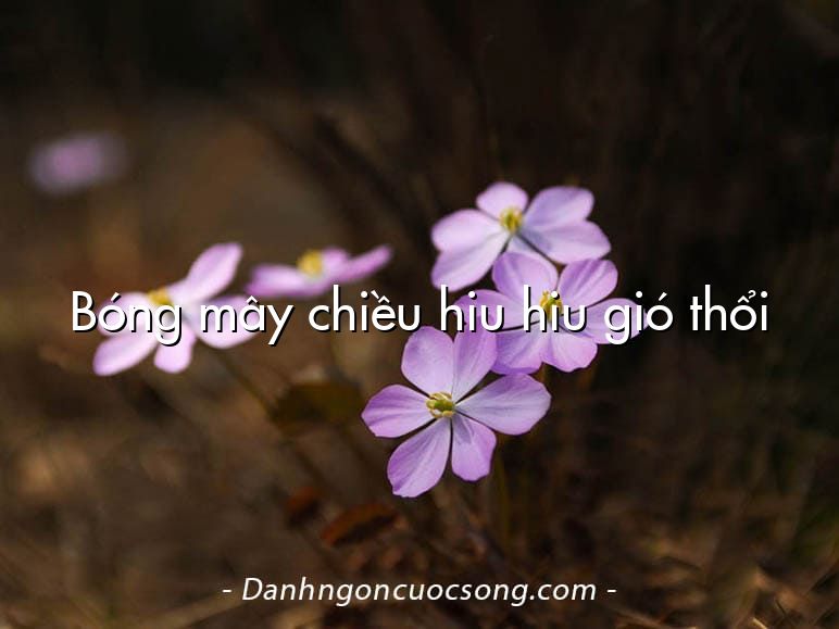 Bóng mây chiều hiu hiu gió thổi