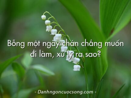 Bỗng một ngày chán chẳng muốn đi làm, xử lý ra sao?