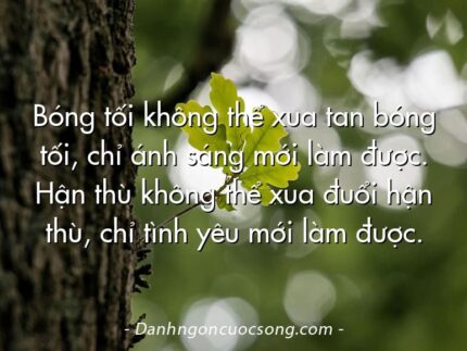 Bóng tối không thể xua tan bóng tối, chỉ ánh sáng mới làm được. Hận thù không thể xua đuổi hận thù, chỉ tình yêu mới làm được.