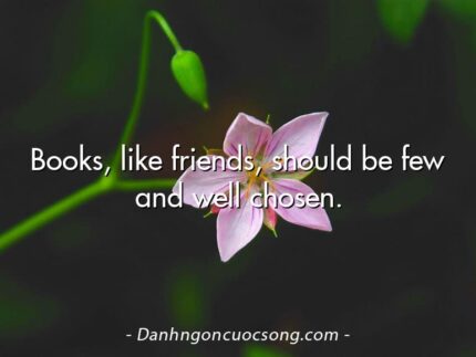 Books, like friends, should be few and well chosen.