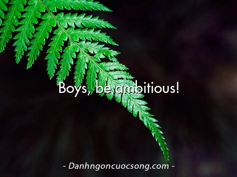 Boys, be ambitious!