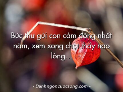 Bức thư gửi con cảm động nhất năm, xem xong chợt thấy nao lòng…