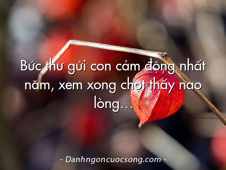 Bức thư gửi con cảm động nhất năm, xem xong chợt thấy nao lòng…