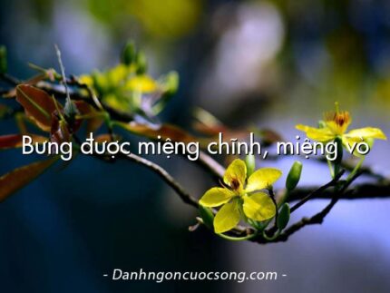 Bưng được miệng chĩnh, miệng vò