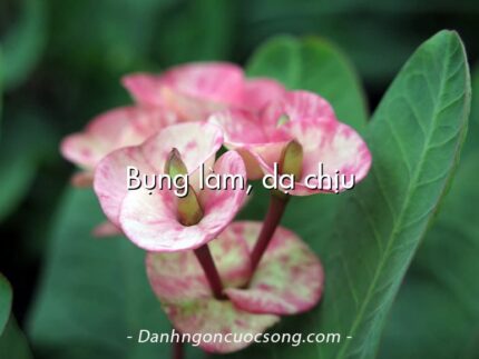 Bụng làm, dạ chịu