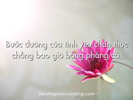 Bước đường của tình yêu chân thực chẳng bao giờ bằng phẳng cả.