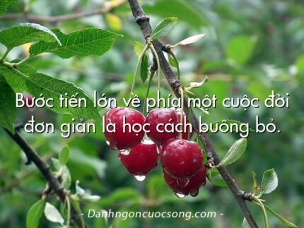Bước tiến lớn về phía một cuộc đời đơn giản là học cách buông bỏ.