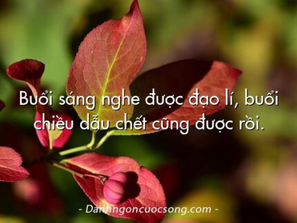 Buổi sáng nghe được đạo lí, buổi chiều dẫu chết cũng được rồi.