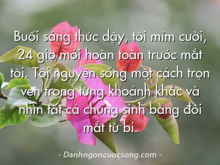 Buổi sáng thức dậy, tôi mỉm cười, 24 giờ mới hoàn toàn trước mắt tôi. Tôi nguyện sống một cách trọn vẹn trong từng khoảnh khắc và nhìn tất cả chúng sinh bằng đôi mắt từ bi.