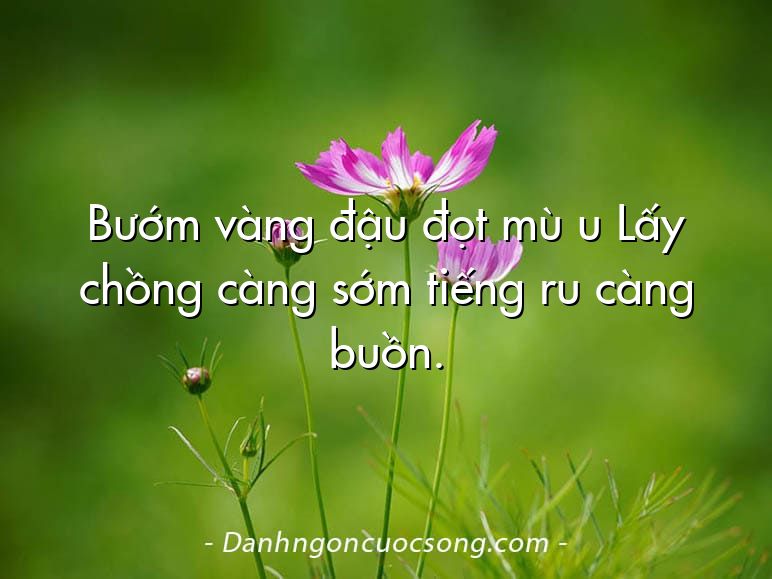 Bướm vàng đậu đọt mù u Lấy chồng càng sớm tiếng ru càng buồn.