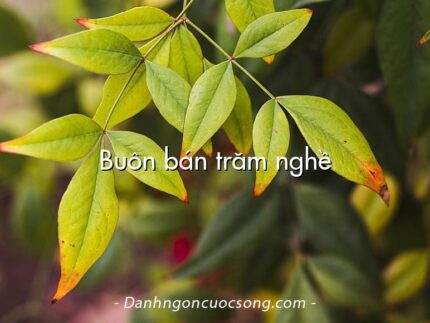 Buôn bán trăm nghề