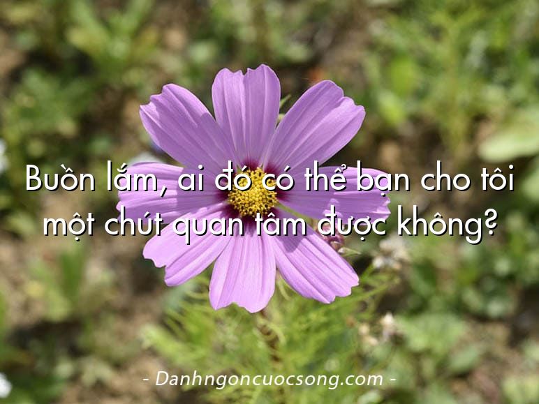 Buồn lắm, ai đó có thể bạn cho tôi một chút quan tâm được không?