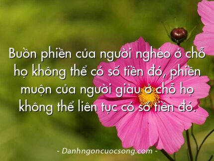 Buồn phiền của người nghèo ở chỗ họ không thể có số tiền đó, phiền muộn của người giàu ở chỗ họ không thể liên tục có số tiền đó.
