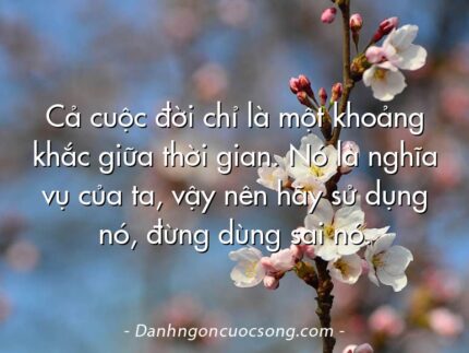 Cả cuộc đời chỉ là một khoảng khắc giữa thời gian. Nó là nghĩa vụ của ta, vậy nên hãy sử dụng nó, đừng dùng sai nó.