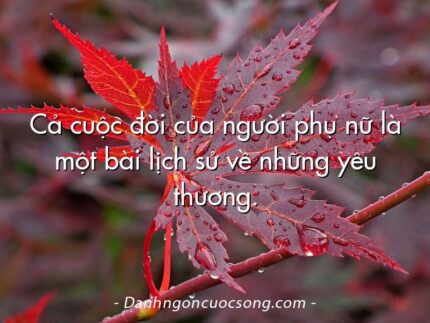 Cả cuộc đời của người phụ nữ là một bài lịch sử về những yêu thương.
