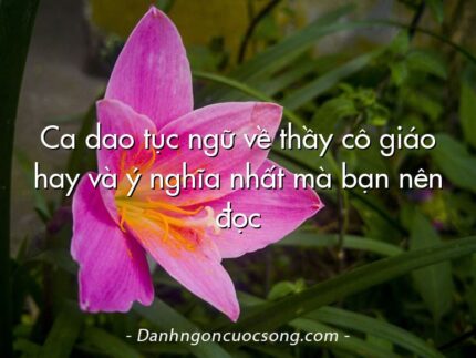 Ca dao tục ngữ về thầy cô giáo hay và ý nghĩa nhất mà bạn nên đọc