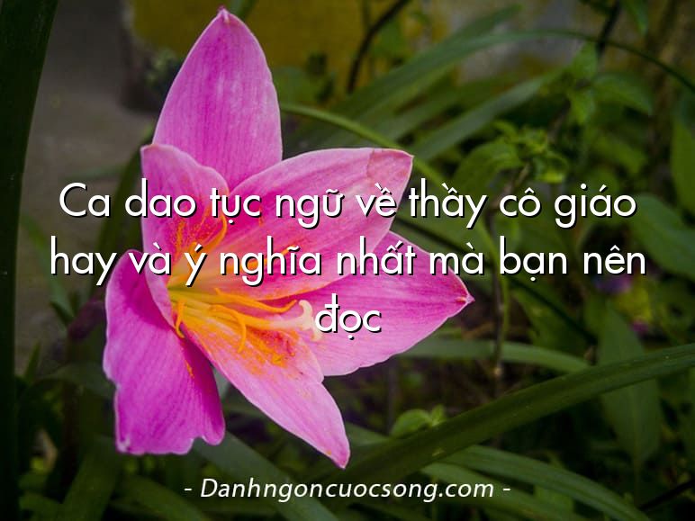 Ca dao tục ngữ về thầy cô giáo hay và ý nghĩa nhất mà bạn nên đọc