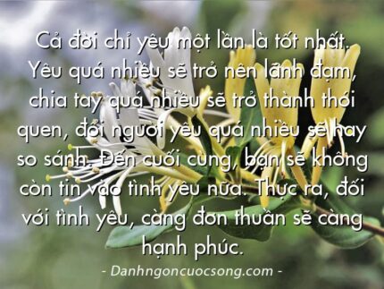 Cả đời chỉ yêu một lần là tốt nhất. Yêu quá nhiều sẽ trở nên lãnh đạm, chia tay quá nhiều sẽ trở thành thói quen, đổi người yêu quá nhiều sẽ hay so sánh. Đến cuối cùng, bạn sẽ không còn tin vào tình yêu nữa. Thực ra, đối với tình yêu, càng đơn thuần sẽ càng hạnh phúc.