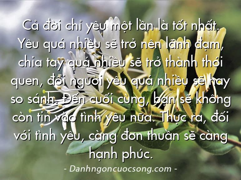 Cả đời chỉ yêu một lần là tốt nhất. Yêu quá nhiều sẽ trở nên lãnh đạm, chia tay quá nhiều sẽ trở thành thói quen, đổi người yêu quá nhiều sẽ hay so sánh. Đến cuối cùng, bạn sẽ không còn tin vào tình yêu nữa. Thực ra, đối với tình yêu, càng đơn thuần sẽ càng hạnh phúc.