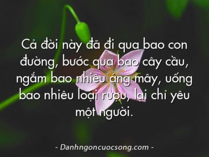 Cả đời này đã đi qua bao con đường, bước qua bao cây cầu, ngắm bao nhiêu áng mây, uống bao nhiêu loại rượu, lại chỉ yêu một người.